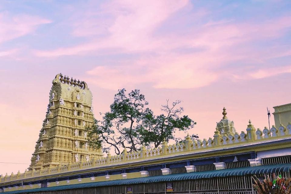 Bangalore to Mysore 1 Day Tour
